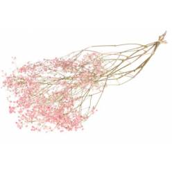 Paniculata Seca Rosa 70cm 40g