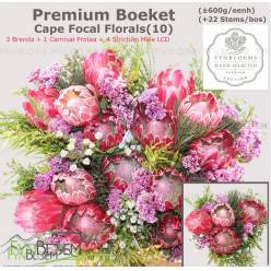 Safari Buquet 50cm 600gr 4-Protea