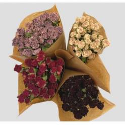 Rosa Seca Variada