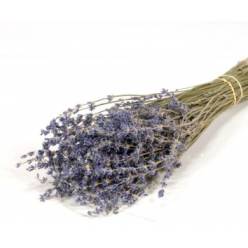 Lavanda Seca Natural 100g