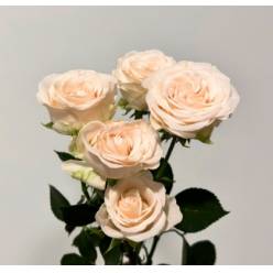 Ramificada Sofie 45cm "Premium"