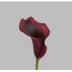 Calla Amazone 60cm