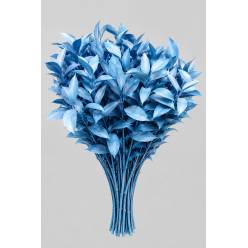 Ruscus Pintado Azul 80cm "T50"