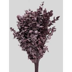 Eucalipto Estabilizado Dusty Plum 70cm 140g "T5"