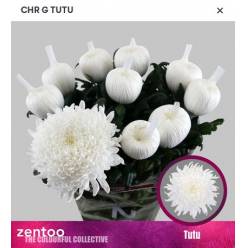 Uniflor Hol. Tutu 100gr 70cm