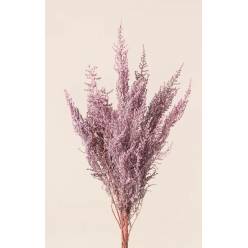 Stoebe Preservado Rosa Vintage 50cm