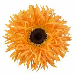 Gerbera Hol. Gerspider Bambu "T25"