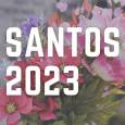 .Alstroemeria para Santos 2023