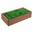 Caja Musgo Liofilizado Verde 500g