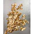 Eucaliptus Cinerea Preservado Tintado Oro 45cm (x10 Tallos)