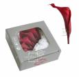 Calla Preservada Rojo Vino (5 Cabezas) 7-9cm