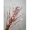 Prunus Ov. Rosa 120cm x5