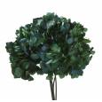Hortensia Preservada Standard Verde/Azul Ø18-25cm