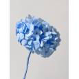 Hortensia Preservada Premium Azul Claro Ø15-20cm